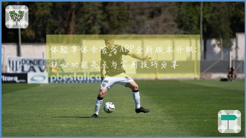 体验华体会官方APP全新版本升级：核心功能亮点与实用技巧分享